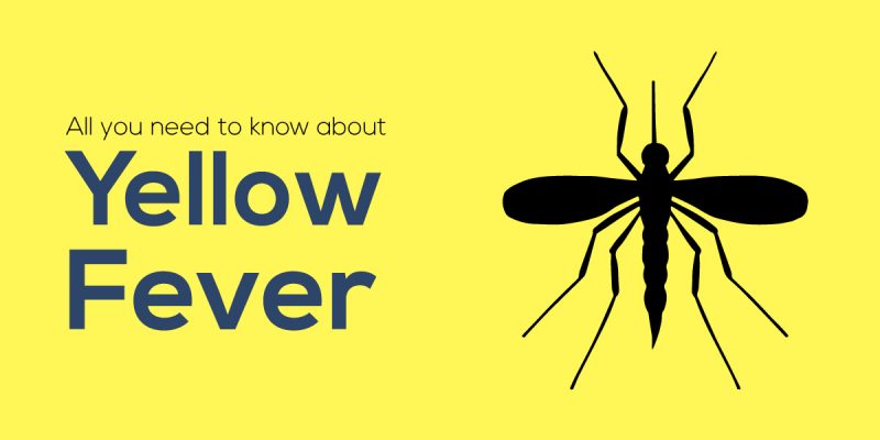 Enhanced Care Services becomes an accredited Yellow Fever Vaccination Centre!